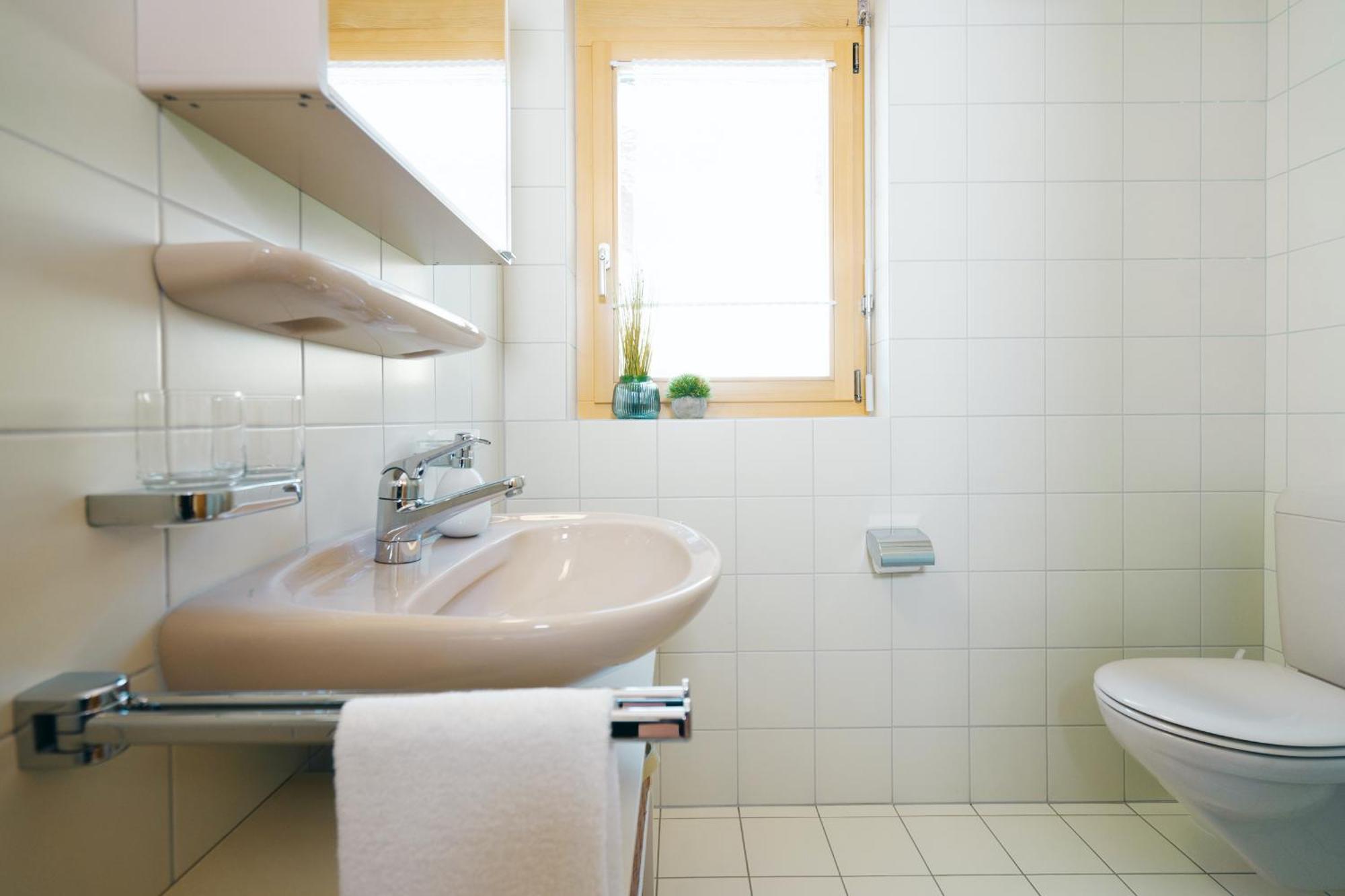 Apartment Brugg Amden Ngoại thất bức ảnh